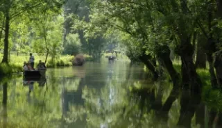 Profiter d’un tour en barque dans le Marais Poitevin